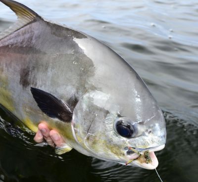 TurneffeFlatsfishingadventureBelizevacationdestinationBelizeresort